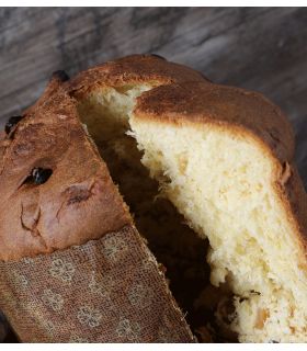 copy of Mor di Roccia