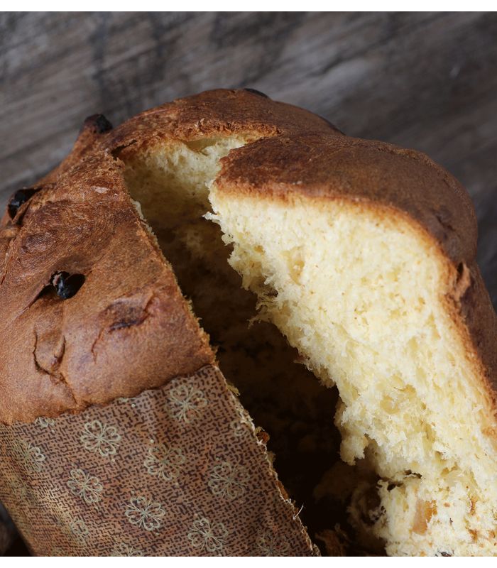 copy of Mor di Roccia