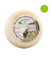 Fine young sheep milk cheese