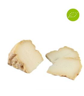 Fine young sheep milk cheese