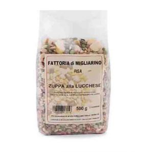 Cereals soup from Lucca