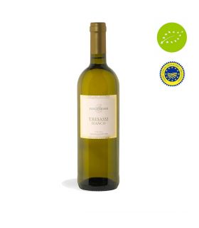 copy of Mor di Roccia