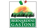 Bernardini Gastone